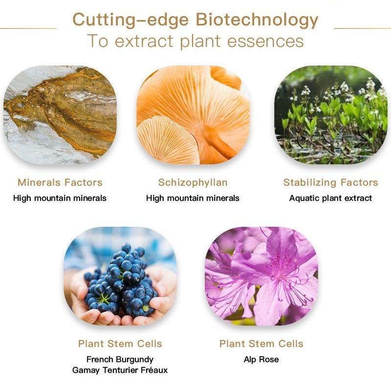 Marvel Anti-Aging H2.0 Step 3 Revitalizing Emulsion German Homeopathy for All Skin Type Skincare