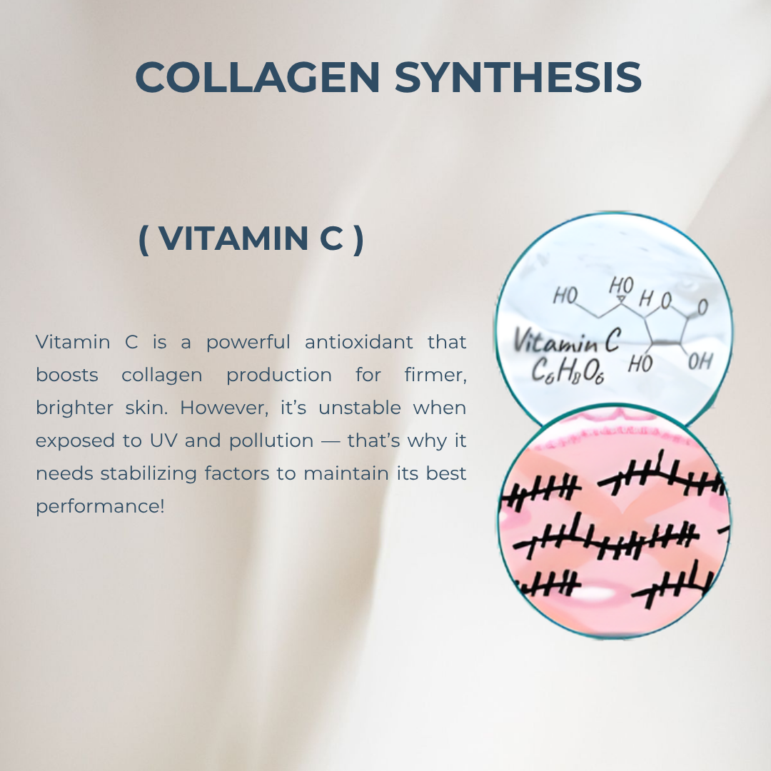 Marvel Anti-Aging H2.0 Step 2 Intensive Firming Serum German Homeopathy Skincare for All Skin Type